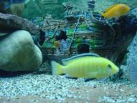 Aquarium